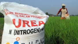 Legislator Gerindra minta distribusi pupuk subsidi diawasi ketat.